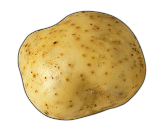 Potato In Png PNG images