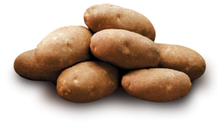 Png Format Images Of Potato PNG images