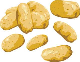 Picture Potato Download PNG images