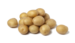 Potato Free Vector Png Download PNG images
