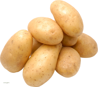Potato Png Hd PNG images