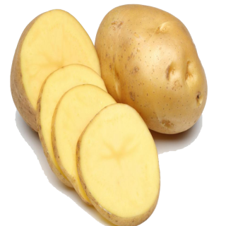 Slice Of Potato Png PNG images