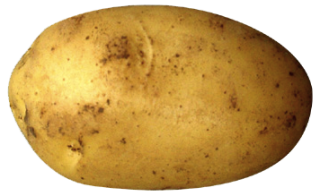 Vegetables Potato Png PNG images