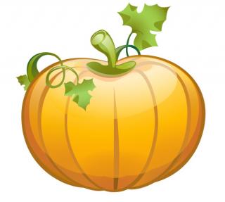 Transparent Pumpkin Icon PNG images