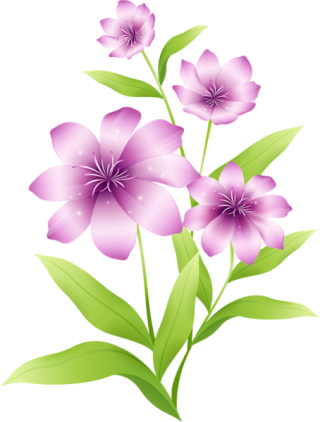 Flowers: Transparent Flowers Birds II PNG images