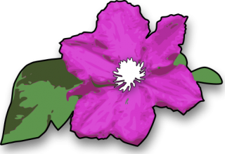 PNG Image Purple Flower PNG images