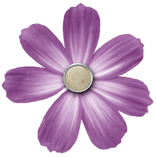 PNG Transparent Purple Flower PNG images