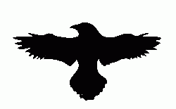 Free Download PNG Raven PNG images