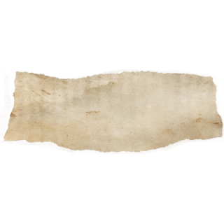 Rip Transparent Page - Page Rip Png Transparent PNG - 1920x524 - Free  Download on NicePNG