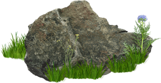 Rocks With Grass And Flower Png PNG images