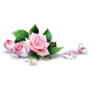 Flower Romantic Png PNG images
