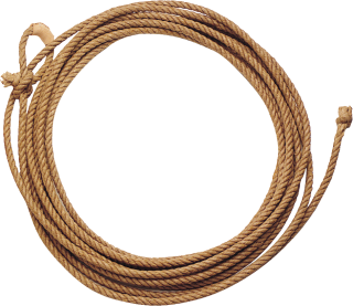 Cowboy Rope Png PNG images