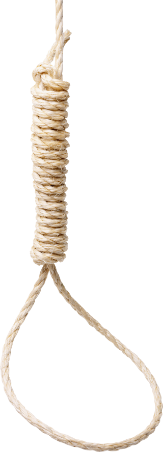 PNG Rope Images PNG images