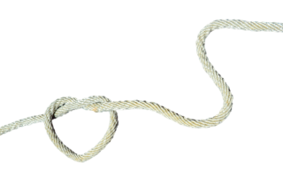 cowboy rope png