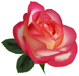 Pink Roses Flowers Png PNG images