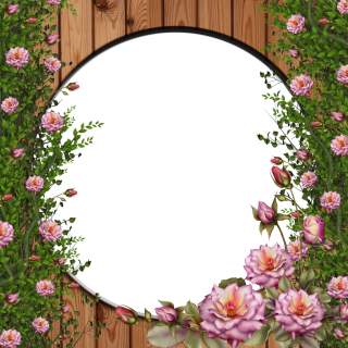 Rose File PNG PNG images