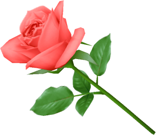 Rose Image PNG Transparent PNG images