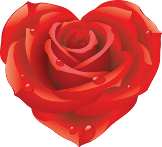 Rose Image PNG PNG images