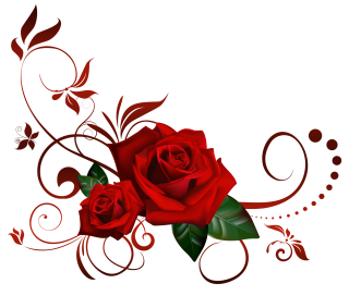 Rose Png Transparent PNG images