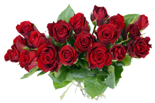 Roses Bouquet Png PNG images