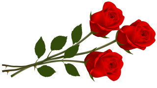 Wedding Roses Png PNG images