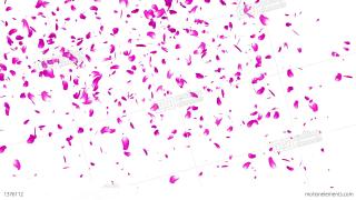 Images Free Download Sakura Petals PNG images