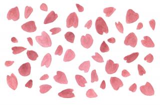 Sakura Petals Clip Art PNG images