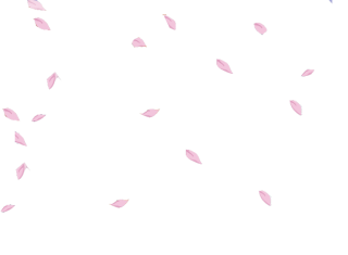 Png Clipart Sakura Petals Best PNG images