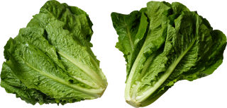 Lettuce Salad PNG Image Picture PNG images