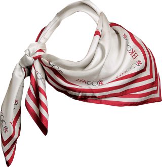 Scarf Designs Png PNG images