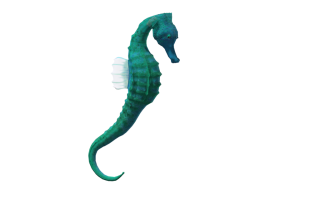 Clipart Best Seahorse Free Images PNG images