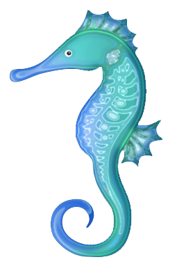 Photo Seahorse PNG PNG images