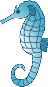 Hd Seahorse Image In Our System PNG images