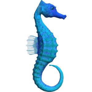 Seahorse Jpg PNG images