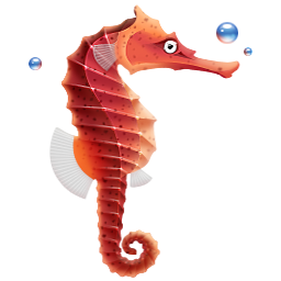Clip Seahorse Art PNG images