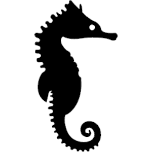 Best Free Seahorse Png Image PNG images
