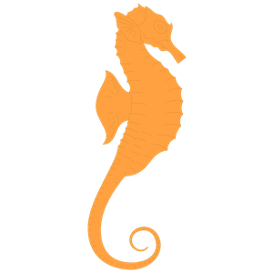 Browse And Download Seahorse Png Pictures PNG images