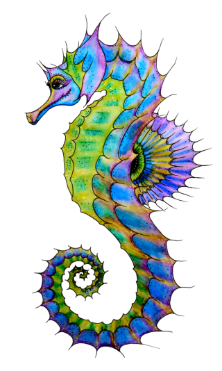 Seahorse In Png PNG images