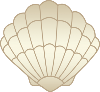 Download High-quality Seashell Png PNG images