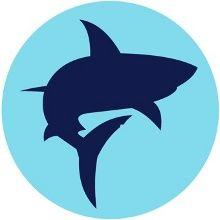 Vector Icon Shark PNG images