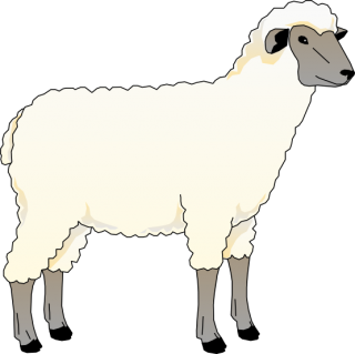 Download And Use Sheep Png Clipart PNG images