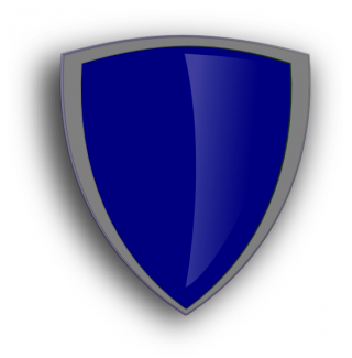 Shield Png Shield Transparent Background Freeiconspng