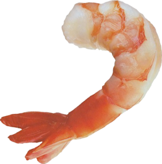 Shrimps Clip Art PNG images