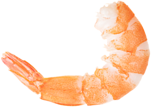 Transparent Shrimps Background PNG images
