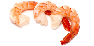 Download Shrimps Latest Version 2018 PNG images
