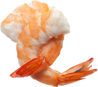 Shrimp Animal Png PNG images