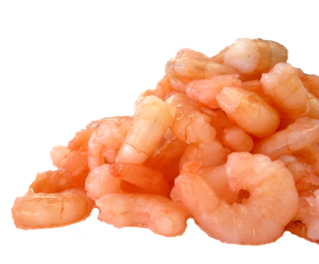 Shrimp Cocktail Png PNG images