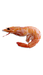 PNG Clipart Shrimps PNG images