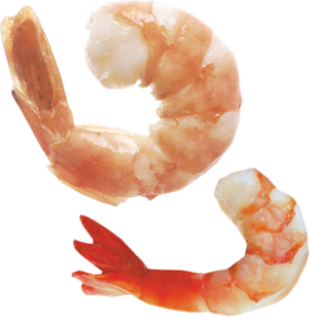 Hd Shrimps Png Transparent Background PNG images