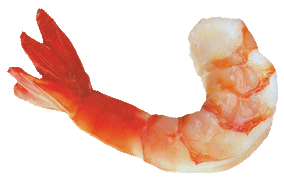 Images Download Free Png Shrimps PNG images